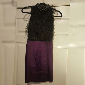 A gorgeous feather dress